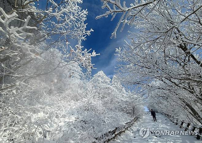 눈꽃 세상 펼쳐진 지리산 (구례=연합뉴스) 23일 오후 전남 구례군 토지면 지리산 노고단 정상부가 최근 내린 눈으로 뒤덮여 설경을 자랑하고 있다. 2023.12.23 [구례군 제공. 재판매 및 DB 금지] areum@yna.co.kr