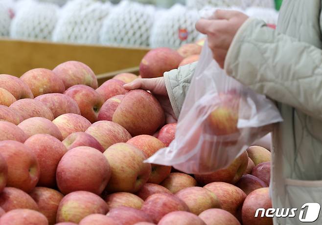 겨울철 대표 간식인 사과의 가격이 전년 대비 오름세를 보이고 있는 가운데 7일 서울 서초구 농협 하나로마트 양재점을 찾은 한 시민이 사과를 고르고 있다.2023.12.7/뉴스1 ⓒ News1 김진환 기자