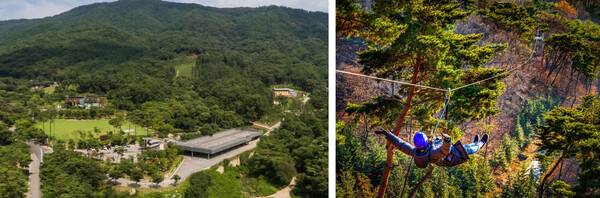 온라인 커뮤니티