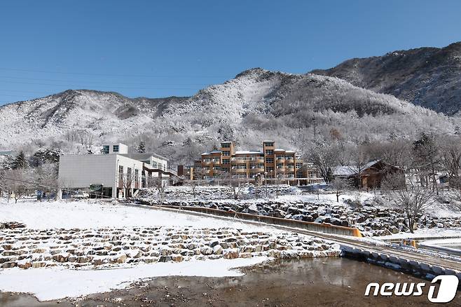 옥천군 군서면 소재 장령산자연휴양림 설경.  (옥천군 제공) /뉴스1