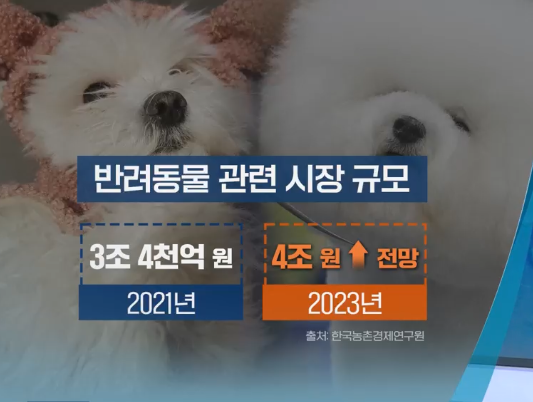 반려동물 관련 시장 규모도 2015년 1조9000억원에서 2021년 3조4000억원으로 성장했고, 올해는 4조원 이상으로 증가할 것으로 전망까지 나온다. [사진출처=KBS 뉴스]