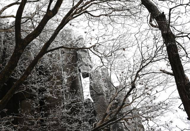 서석대에서 내려오는 등산로 주변에도 다양한 모양의 주상절리가 흩어져 있다.