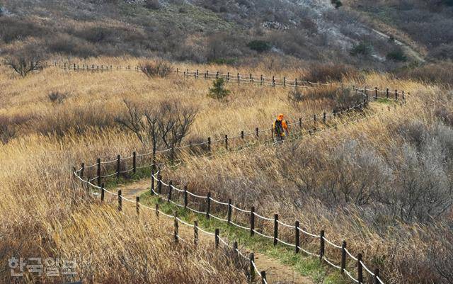 무등산 정상과 중봉 사이에 제법 넓은 평원이 형성돼 있다. 가을이면 억새가 물결치는 곳이다.