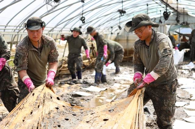 지난 7월 익산의 한 비닐하우스에서 수해복구작업을 펼치고 있는 35사단 장병들. 35사단 제공.
