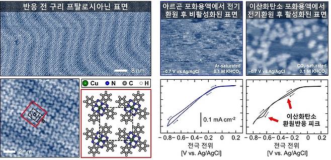 전해질 용액 안에서 직접 관찰된 구리 프탈로시아닌 유기 촉매 박막의 표면 분자 구조