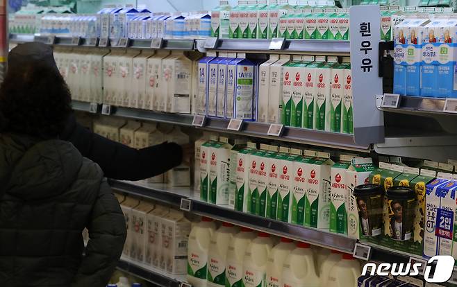 1일 서울 시내 한 대형마트에서 시민들이 우유를 고르고 있다. 냉장으로 유통되는 우유의 경우 오는 2030년까지는 기존과 같이 유통기한을 적용, 식품의약품안전처는 변질이 쉬운 우유의 특성을 고려해 냉장 유통 체계 개선과 낙농업계의 준비 기간이 필요하다고 판단했다. 2023.1.1/뉴스1 ⓒ News1 이동해 기자
