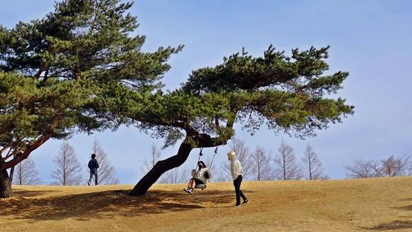 온라인 커뮤니티