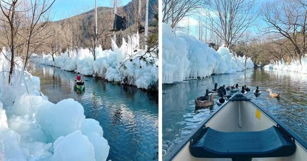 온라인 커뮤니티