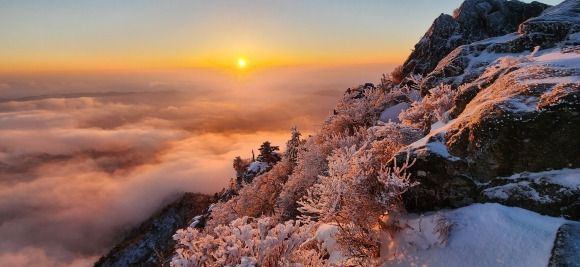 경남 산청군 지리산의 상고대 - 2024년 갑진년(甲辰年) 첫날인 1일 오전 7시 38분 경남 산청군 지리산 천왕봉에 시민과 관광객들이 새해 첫 일출을 감상하고 있는 가운데 상고대 사이로  갑진년 첫 해가 밝아오고 있다. 2024.1.1 뉴시스