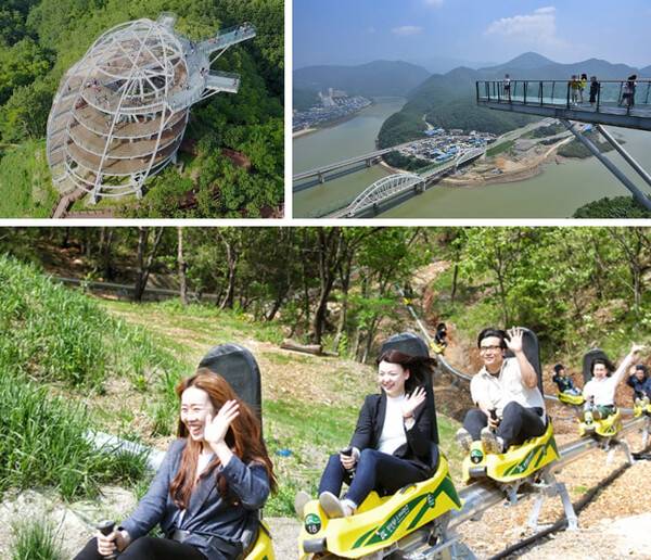온라인 커뮤니티