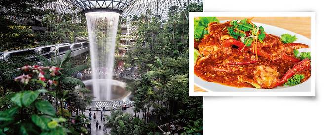 창이국제공항에 있는 초대형 복합몰 쥬얼창이(왼쪽). 매콤·달콤한 칠리맛이 일품인 칠리크랩. [GETTYIMAGES]