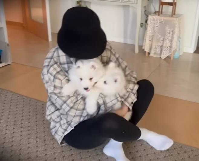 (사진=유튜브 채널 ‘사모예드 티코’ 캡처)