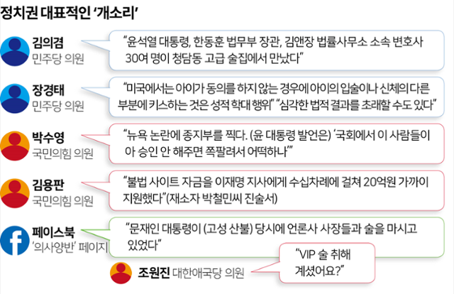 정치권 대표적인 '개소리'