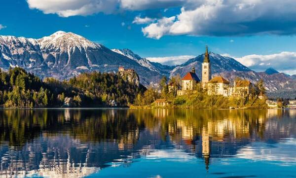 온라인 커뮤니티