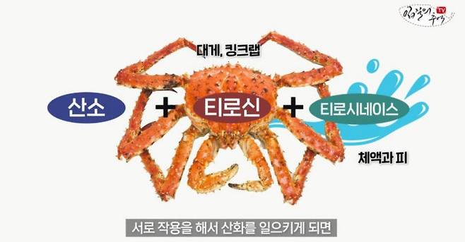 대게 흑변현상 원인./유튜브채널 '입질의 추억'