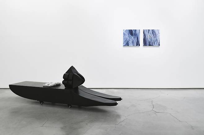 An installation view of "Thick Skin" at G Gallery (courtesy of the gallery)