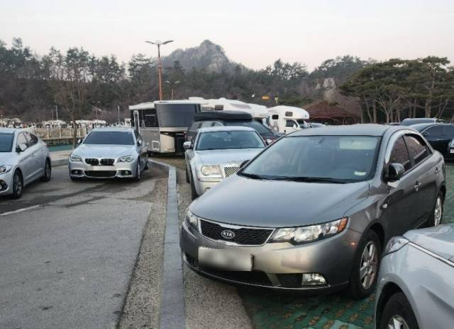 온라인커뮤니티 캡처