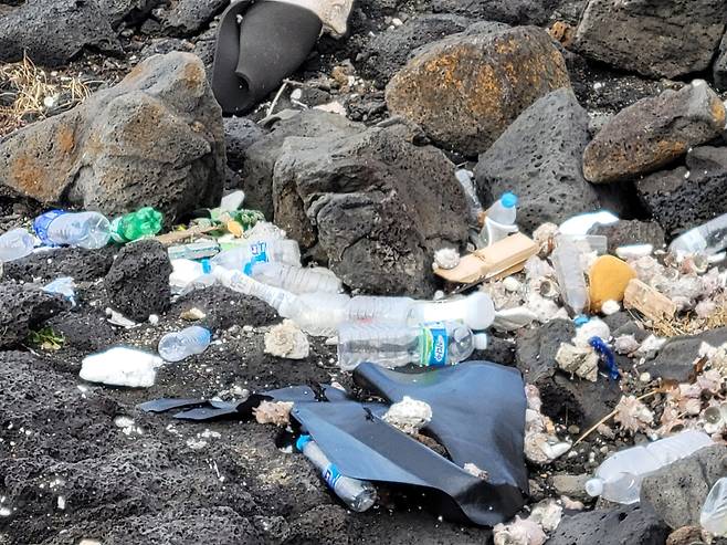 지난달 19일 제주도 우도 해안가에 쓰레기가 버려져있다.  /홍다영 기자