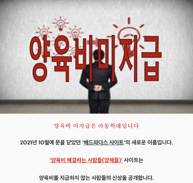 '양육비 해결하는 사람들' 홈페이지 캡처