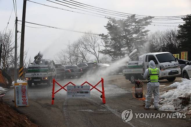 ASF 방역작업 지난해 2월 12일 강원 양양군에서 진행된 아프리카돼지열병(ASF) 방역작업. [연합뉴스 자료사진]