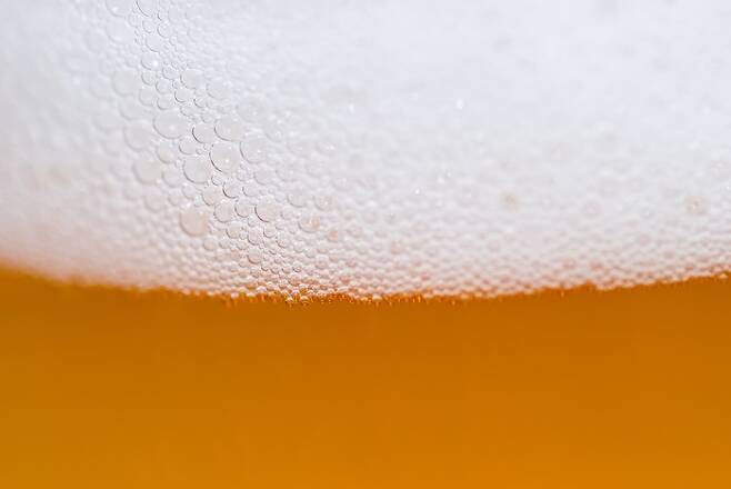 에일 맥주는 효모와 부유 단백질 등이 남아 있어 맥주 색이 전반적으로 탁하고, 알코올 도수도 라거보다 높은 경우가 대부분입니다. [사진 출처 = 픽사베이]