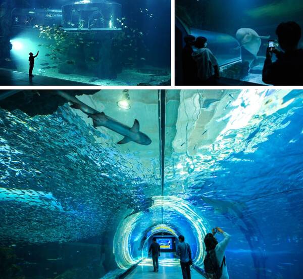 겨울 여수 가볼 만한 곳 / 온라인 커뮤니티