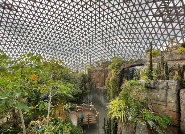 온라인 커뮤니티