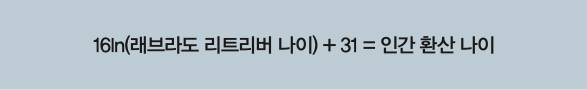 래브라도리트리버 나이 공식. 수학동아 제공