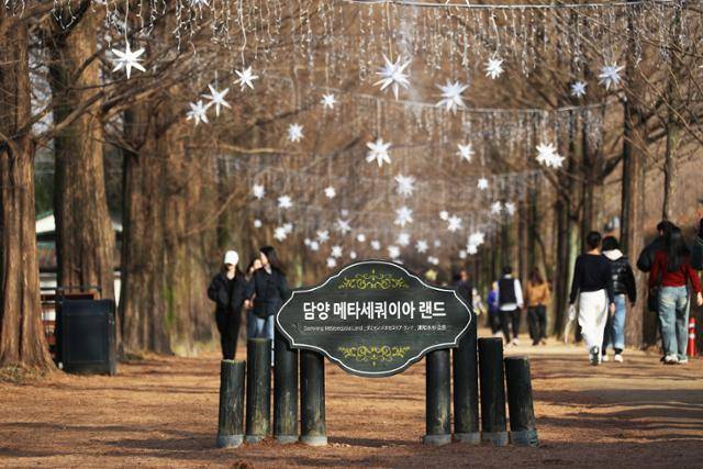담양 메타세쿼이아 가로수에 겨울 빛 장식이 달려 있다. 남도한바퀴 버스를 이용하면 장성 편백숲과 함께 둘러볼 수 있다. ⓒ박준규