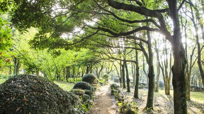 한라수목원 (사진, 비짓제주)
