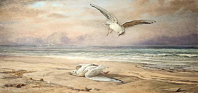 엘리후 베더, 'The Dying Sea Gull'