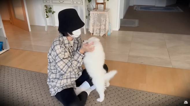 유튜브 채널 '사모예드 티코' 갈무리