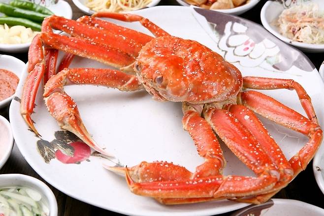 본 사진은 기사와 직접적인 관련이 없습니다. 게티이미지뱅크