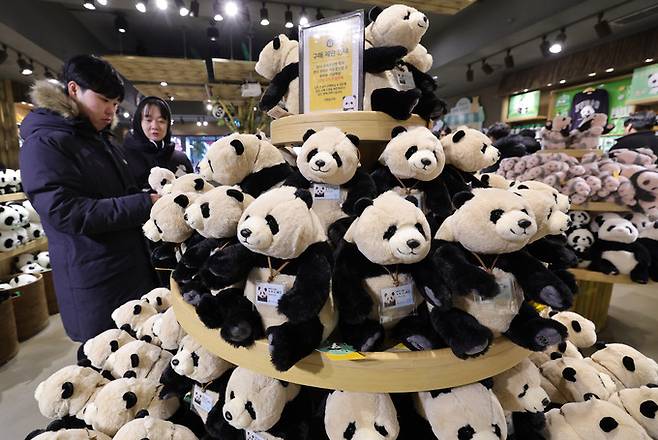 에버랜드 판다월드 기념품점에 푸바오 인형이 전시되어 있다. 에버랜드 전체 방문객 10명 중 1명은 인형, 헤어밴드 등 판다 관련 굿즈를 기념품으로 구입한다.