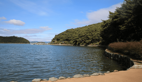 온라인 커뮤니티