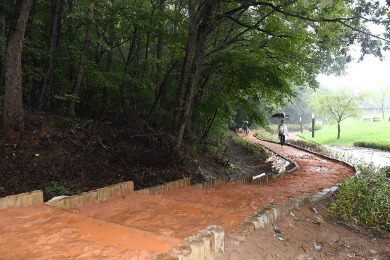 Pictured is a red clay trail on a rainy day at Yuldong Park, Seongnam. [SEONGNAM CITY]