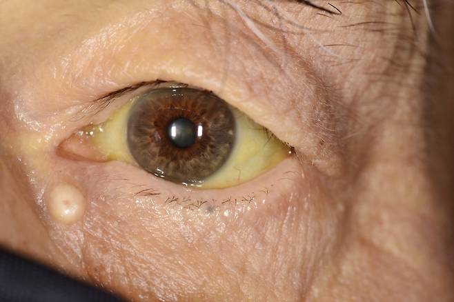 사진= 클립아트코리아