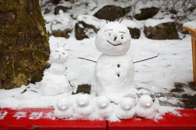 경기도 성남 거주자가 동네에서 발견한 눈 사람. 온라인 커뮤니티 클리앙 캡처