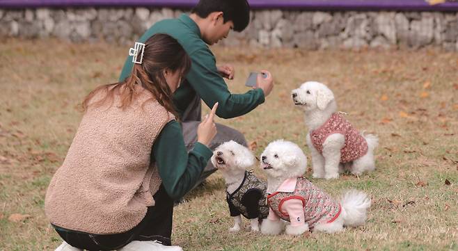 펫 커머스 플랫폼들이 부진한 실적을 기록하고 있다.[사진=뉴시스]