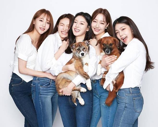 인스타그램 @joymingzi_