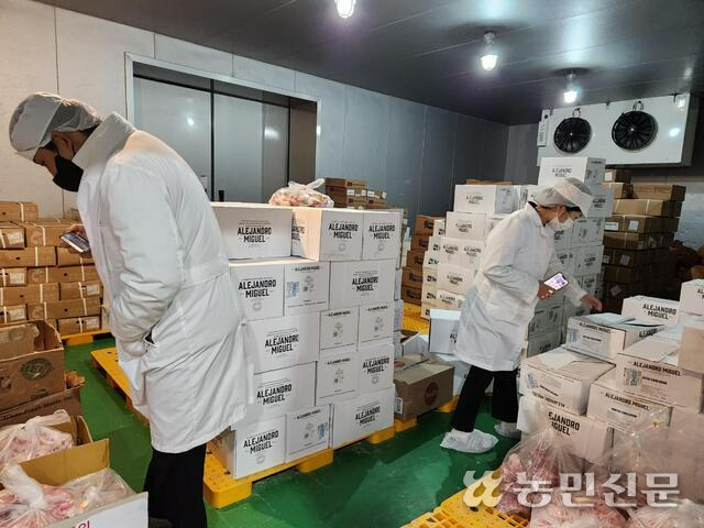 농관원 경북지원 단속반원이 축산물 유통업체에서 원산지를 점검하고 있다.