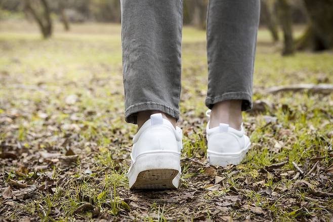 사진=클립아트코리아