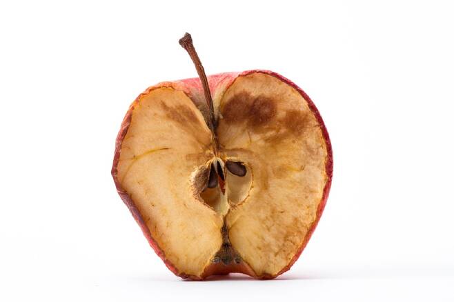 갈변된 사과는 체내에 활성산소를 유발할 수 있어 먹지 않는 게 좋다./사진=클립아트코리아