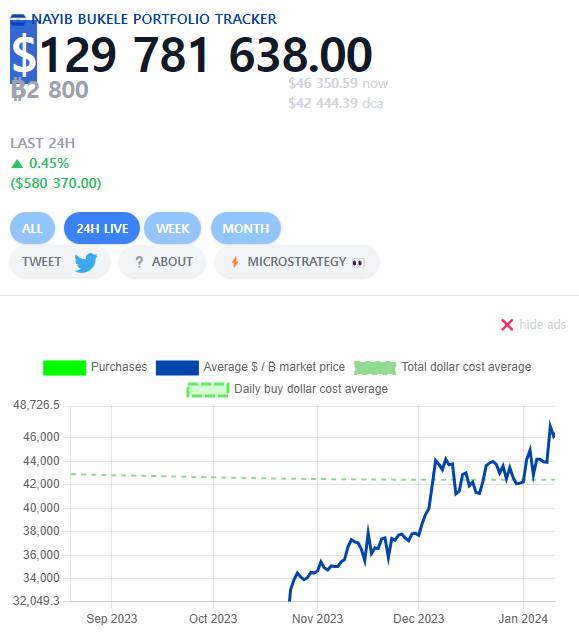 엘살바도르 비트코인 투자 손익 추적 사이트 화면. /사진=나이브 트래커 갈무리