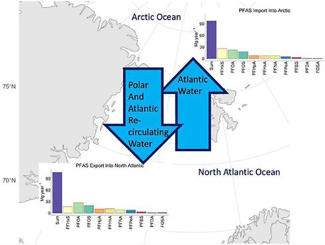 북극해와 북대서양 사이를 오가는 해류 속에서 PFAS 다량 검출