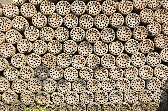 연탄을 위에서 내려다본 모습.