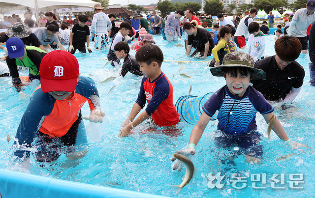 봉화은어축제 은어 맨손잡이 체험