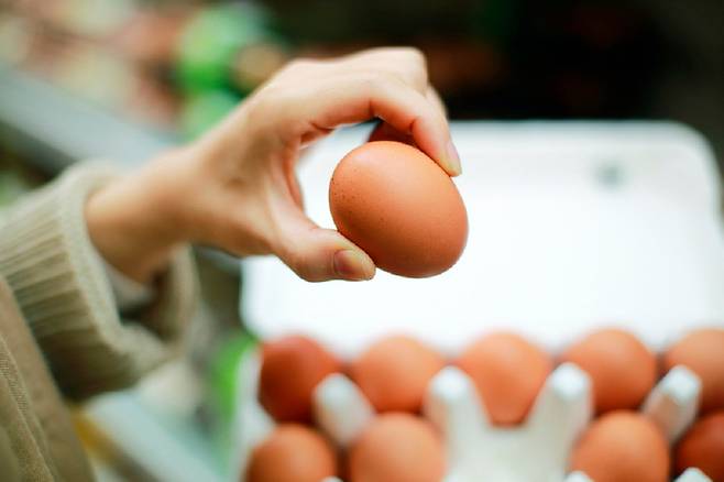 달걀의 신선도가 떨어지면 흔들었을 때 내용물이 출렁거리는 게 느껴지고 소금물에 뜨기 쉽다./사진=클립아트코리아