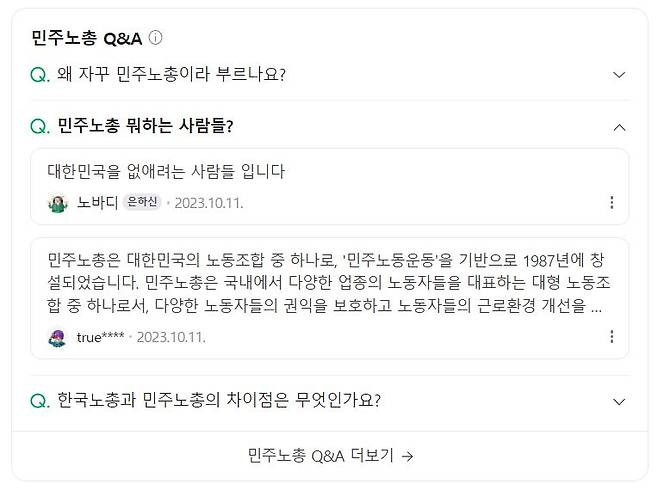 ▲네이버 검색 결과 AI Q&A란. 언론 취재 뒤 현재는 삭제됐다.