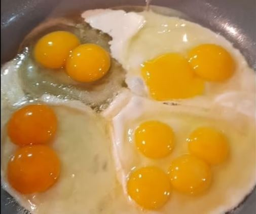 영국에서 달걀 하나에서 노른자 4개가 발견된 사례 [사진, 데일리메일 갈무리]
